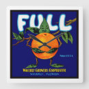 Search for advertising label art Oranges