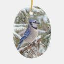 Search for blue jay christmas tree decorations Snow
