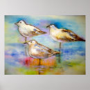Search for seagull posters Coast