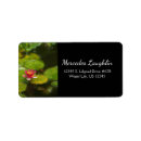 Search for impressionist return address labels Floral