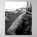 Search for bw posters Black