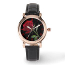 Search for single rose Red