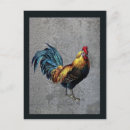 Search for cockerel postcards Fowl