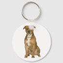 Search for american staffordshire terrier key rings Dog