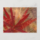 Search for depth of field postcards Usa