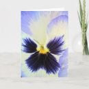 Search for pansy cards Flower