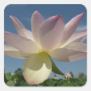 Search for blue lotus flower stickers Nature