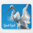 Search for great egret electronics Nature