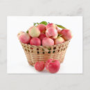 Search for apple baskets postcards Fruit