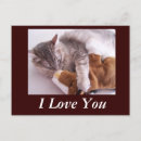 Search for grandma horizontal postcards Fun