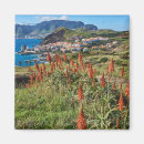 Search for atlantic islands magnets Portugal