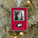 Search for license plate christmas tree decorations College