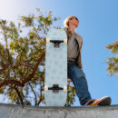 Search for icy skateboards Snow