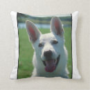 Search for white german shepherd Dog