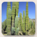 Search for mexico coasters Nature