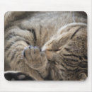 Search for cuddling mousepads Cats