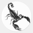Search for black scorpio stickers Scorpion