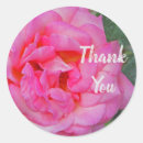 Search for pink rose petals stickers Thank you