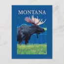 Search for lantern press postcards Collection