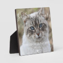 Search for dog loss quote Memorials keepsake