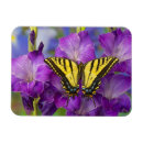 Search for glad magnets Flower