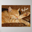 Search for siesta posters Sleep