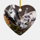 Search for baby goat christmas tree decorations Country