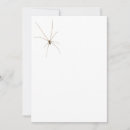 Search for arachnids invitations Arachnophobia