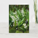 Search for lily of the valley cards Wildflower
