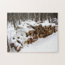 Search for logging puzzles Snow