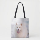 Search for rice bags Dog