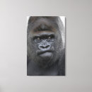 Search for ap canvas prints Animal