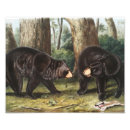 Search for cute bear illustration posters Vintage