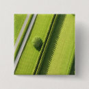 Search for diagonal badges Green