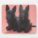 Search for scottish mousepads Puppies