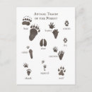Search for animal track postcards Outdoors