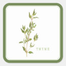 Search for thyme stickers Botanical