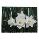 Search for daffodil gift bags Flowers