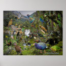 Search for birdwatcher Birds