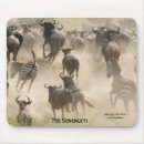 Search for migrate mousepads Wildlife