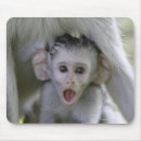Search for shock mousepads Animal