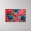 Search for peacock feather art Red