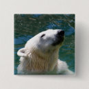 Search for polar badges Bear