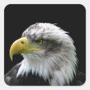 Search for bird eagle stickers Raptor