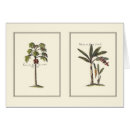 Search for miniature postcards Cream