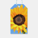Search for summer sun gift tags Yellow