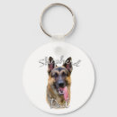 Search for german shepherd dad Gsd