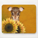 Search for chihuahua mousepads Chiwawa
