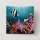 Search for nautical pictures badges Ocean