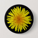 Search for dandelion badges Summer